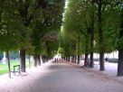  jardins de l'Observatoire